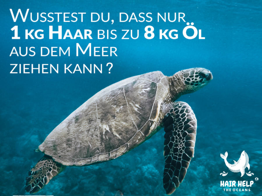 barbers unterstützt  „Hair help the Oceans“